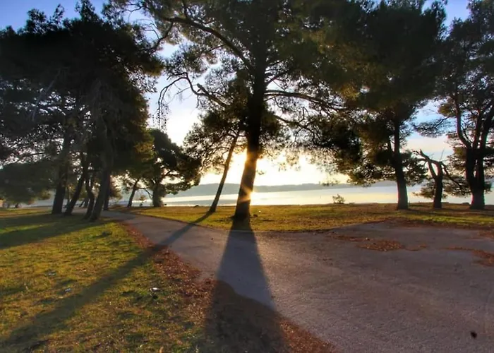 Lejlighed App Krivit