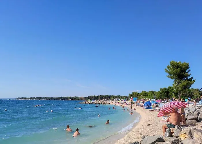 App Krivit Διαμέρισμα