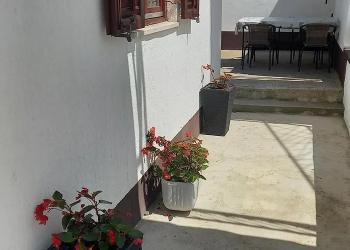 App Krivit Lejlighed Pula