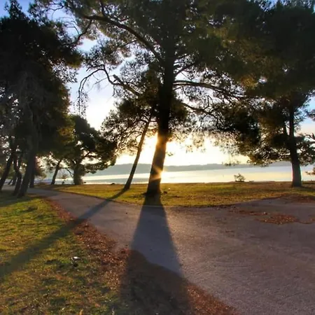 Lägenhet App Krivit